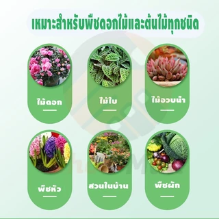 ขุยมะพร้าวอัดก้อน ปลูกต้นไม้ พองตัวเร็ว เทนนินต่ำ 450g / 550g ดินปลูกสวนผัก กระถางต้นไม้