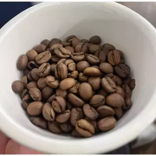 กาแฟลาวโบลาเวน Bolaven, เมล็ดกาแฟคั่วเกรดAA อาราบิก้า คั่วกลาง,Premium+,Laos Bolaven Arabica, Medium Roast