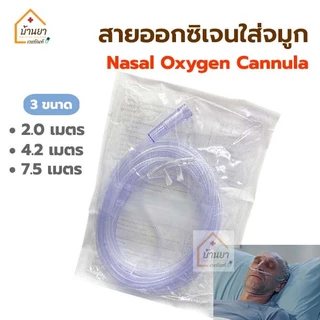Oxygen Nasal Cannula สายออกซิเจนใส่จมูก (2m / 4.2m / 7.5m) สายให้ออกซิเจนทางจมูก ATZ / Solida