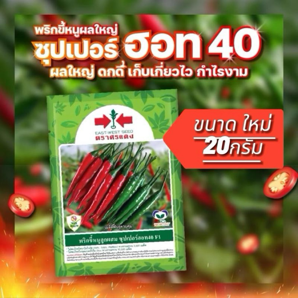 พริกฮอท 40 ขนาด 20 กรัม บริษัทศรแดง – โปรปัง