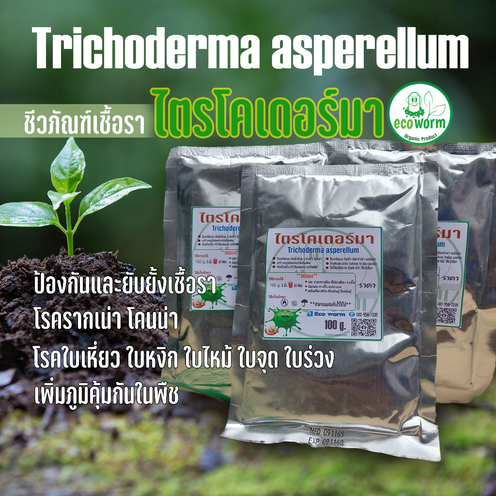 ชนิดผง(หัวเชื้อ) ไตรโคเดอร์มา richoderma asperellum ป้องกันและรักษาโรคพืช 🍃100 g.