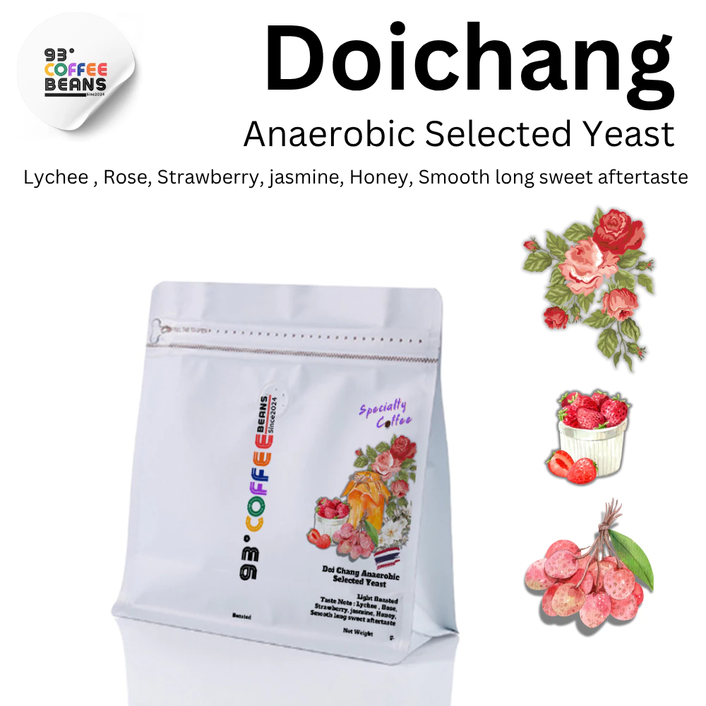 Doi Chang Anaerobic Selected Yeast By 93 Degree Coffee