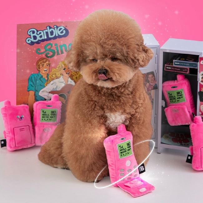 BITE ME🇰🇷 Flip Phone Toy ของเล่นสำหรับสุนัข