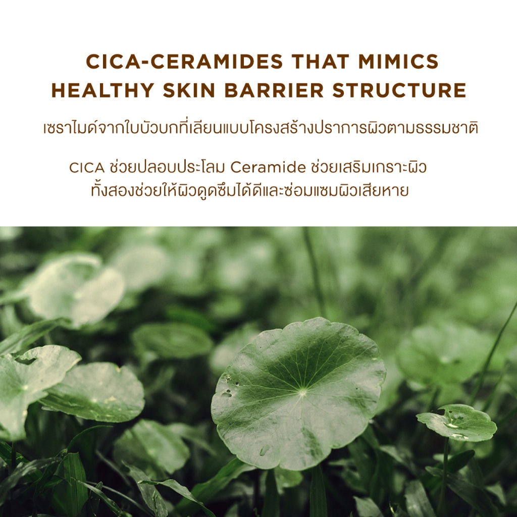 ( NEW )SKIN1004 Madagascar Centella Probio-Cica Glow Sun Ampoule SPF50+ PA+++ 50ml. - รูปที่ 4