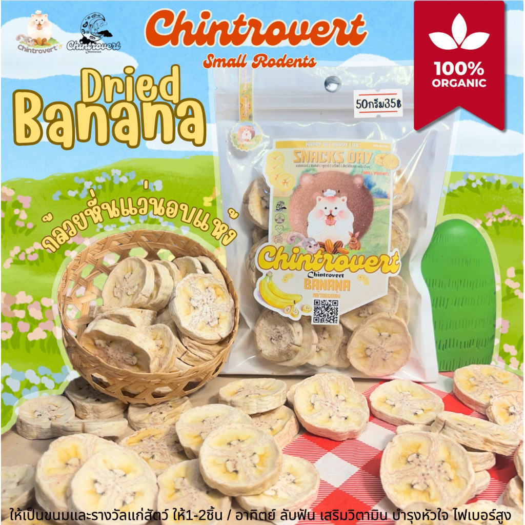 Chintrovert ✨| Dried banana กล้วยอบแห้ง 50g | ขนมกระต่าย ชินชิล่า แพรี่ด็อก ดัมโบแรท แฮมเตอร์ แฟตเทล ดอร์เมาท์ ชูการ์