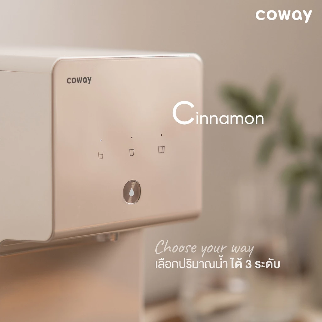 เครื่องกรองน้ำ Coway รุ่น Cinnamon thumbnail 6