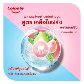 Colgate คอลเกต ยาสีฟัน สูตรเกลือ ใบฝรั่ง 100/150 ก. แพ็คคู่/เดี่ยว