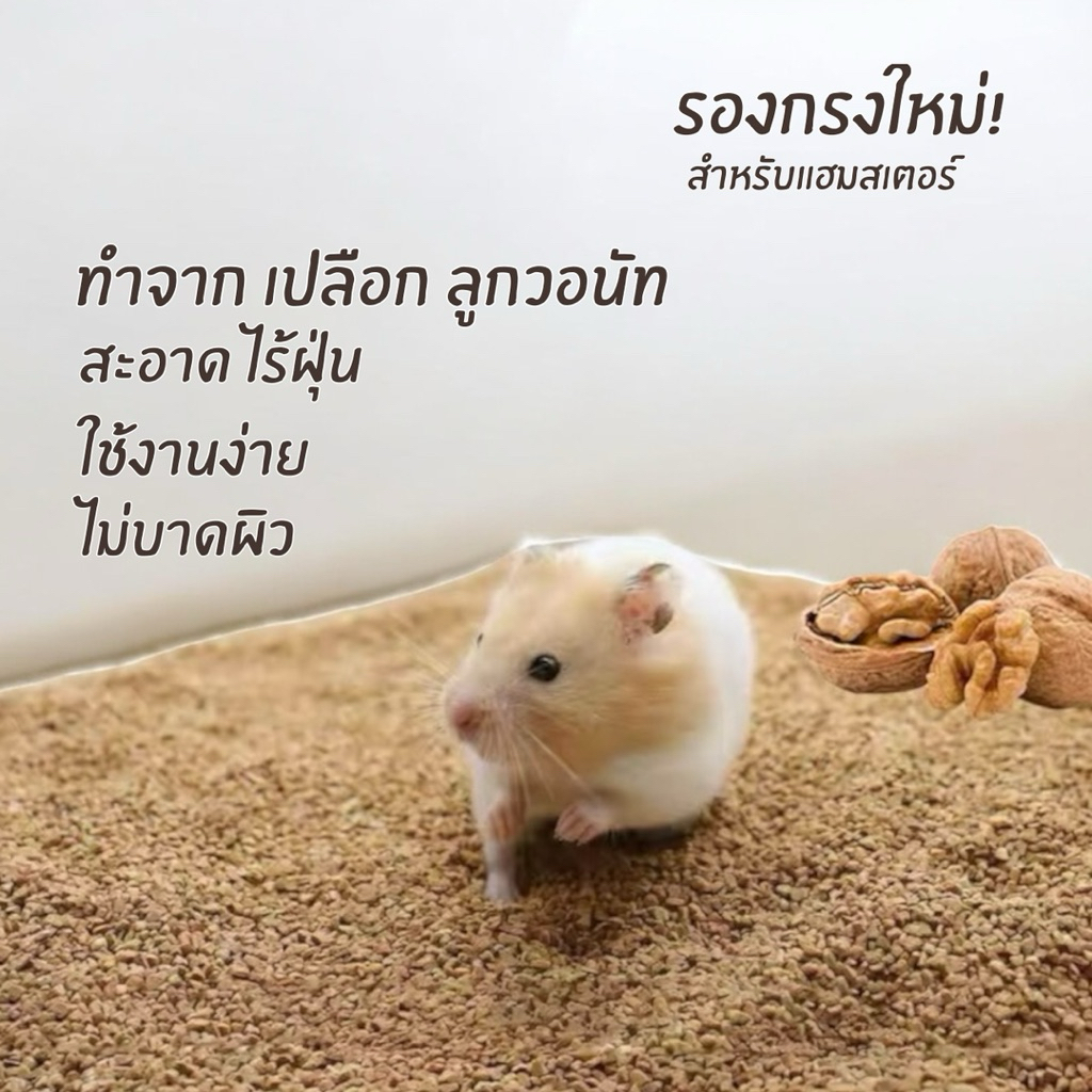 รูปภาพ 5