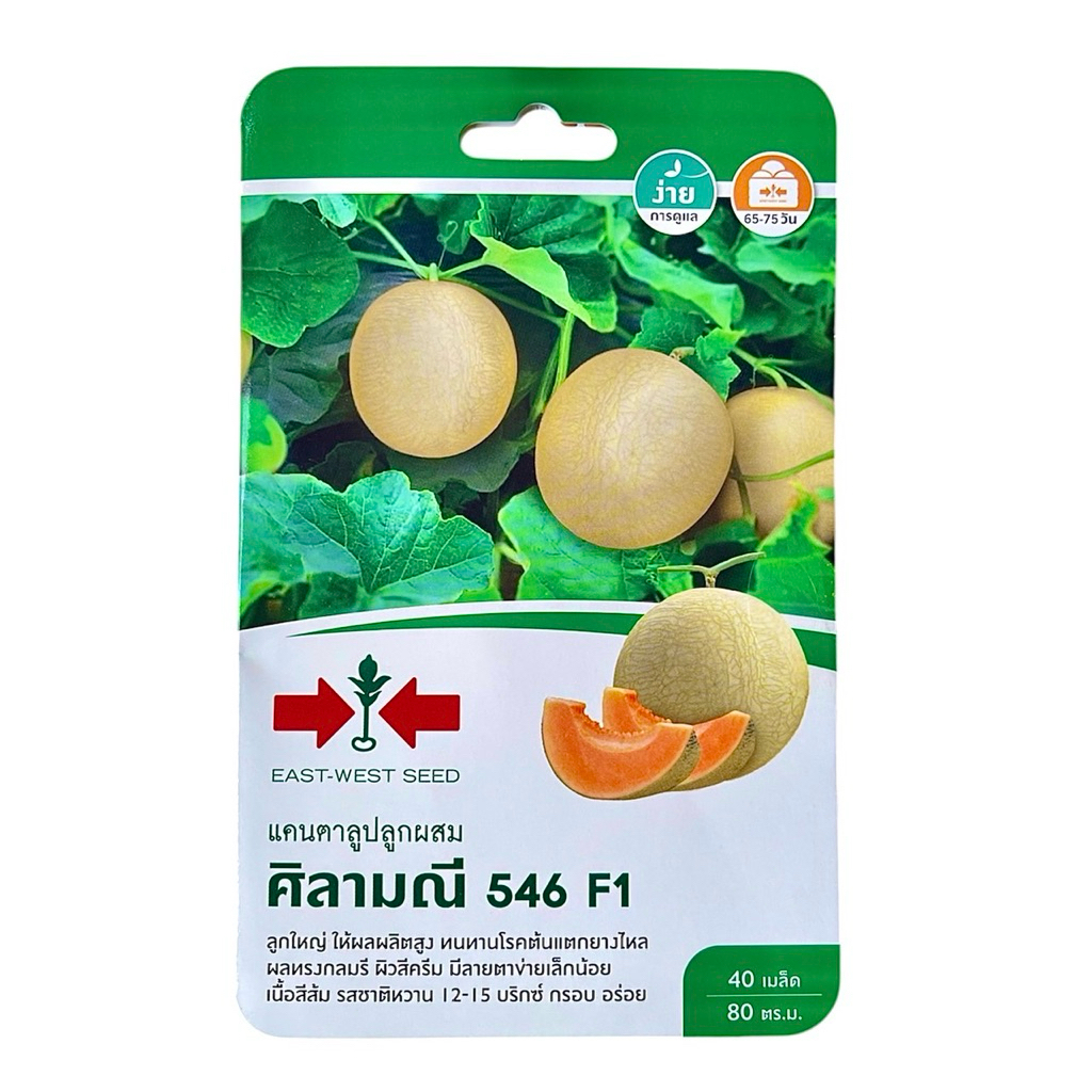 ศรแดง แคนตาลูป ศิลามณี 546 (40 เมล็ด)