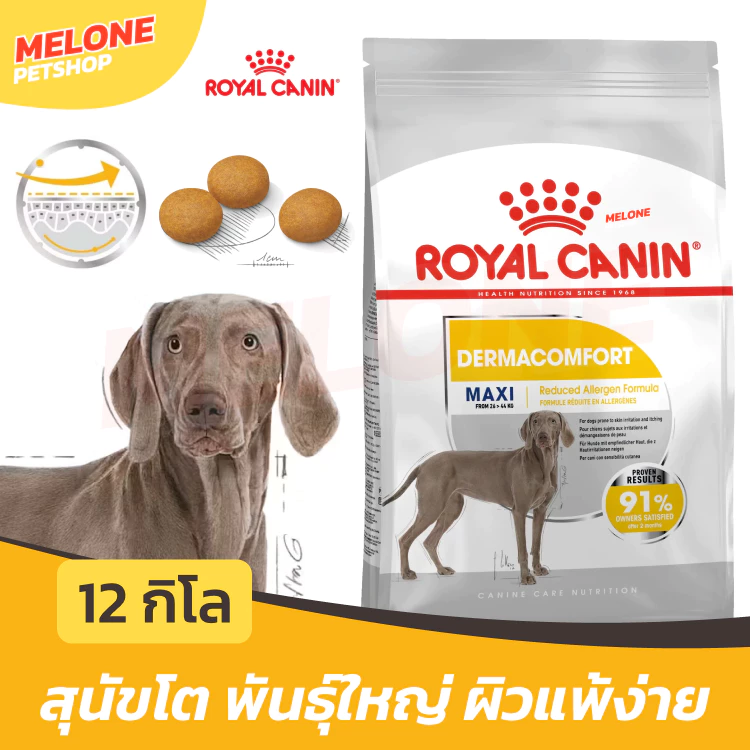 Royal Canin Maxi Dermacomfort รอยัลคานิน อาหารสุนัขโต พันธุ์ใหญ่ ผิวแพ้ง่าย บำรุงผิวหนัง ลดคัน ขนาด 12 กิโล