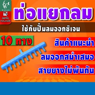ท่อแยกลมพลาสติกสีน้ำเงิน 10 ทาง ท่อแยกลมต่อกับปั๊มลมเพื่อกระ…