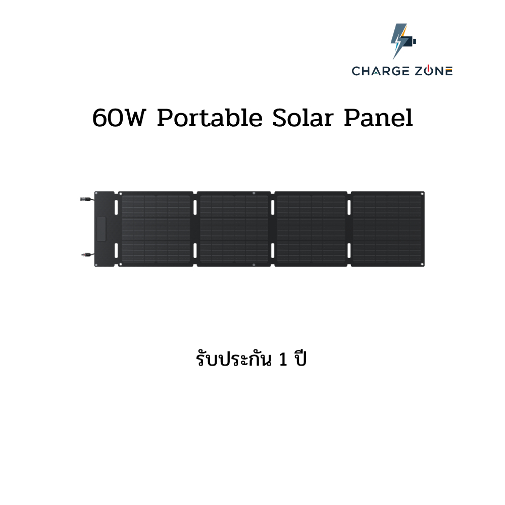 EcoFlow 60W Solar Panel