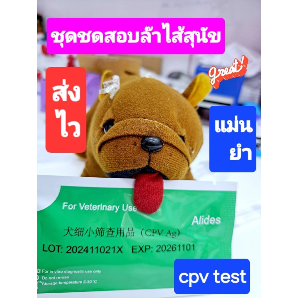 ชุดตรวจลําไส้อักเสบสุนัขCpvรู้ผลภายใน5นาที ส่งจากไทย ส่งไวมาก