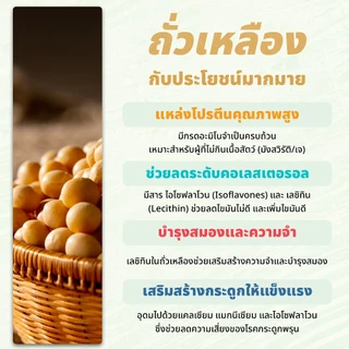 ถั่วเหลืองดิบผ่าซีก 1 กิโลกรัม ตราเสือบิน | Hulled Split Soya Beans