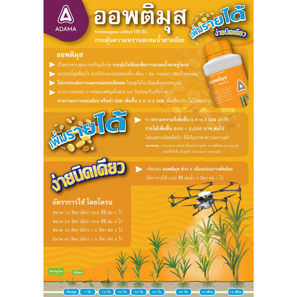 ออพติมุส 1 ลิตร ADAMA (ไตรเนกซาแพก-เอทิล 17.5% W/V EC) เพิ่มปริมาณน้ำตาลในอ้อย