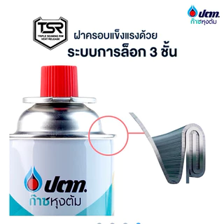 แก๊สกระป๋อง ปตท.ก๊าซหุงต้ม บรรจุกระป๋อง ขนาด 250 กรัม แพค3
