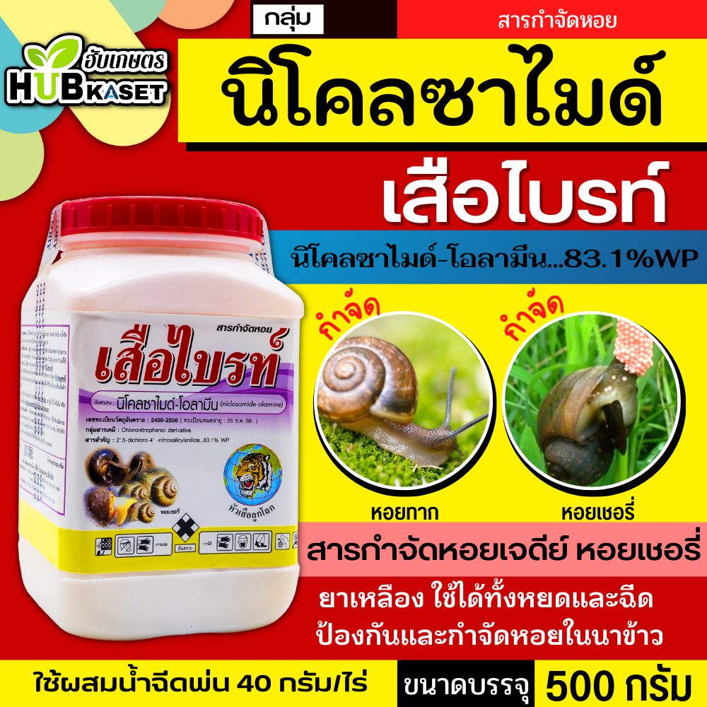 เสือไบรท์ 500กรัม (โนโคลซาไมด์-โอลามีน) กำจัดหอยเชอรี่ ในนาข้าว