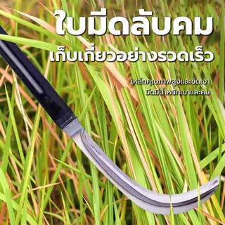 มีดขอด้ามยาว เคียวปาดตองด้ามแป๊บยาว เคียวเหล็กแมงกานีส ทำมาจากเหล็กแมงกานีสแท้ แข็งแรงคงพิเศษ