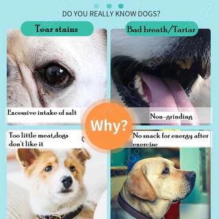 【CAT&DOG】ขนมสุนัข ขนมหมา ขนมสุนัข โปรตีนสูง ไขมันต่ำ ผลิตจากธรรมชาติ เนื้อเส้น/เนื้อหั่นเต๋า การฝึกอบรมรางวัลอาหาร