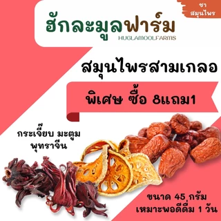 ซื้อ8แถม1 ชุดต้มน้ำสามเกลอ ขนาด45กรัม ชาสามเกลอ กระเจี๊ยบ มะตูม พุทราจีน สมุนไพรสามสหาย