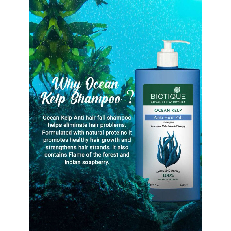 Biotique Ocean Kelp Anti Hairfall Shampoo | Intensive Hair Growth Therapy| Anti Hairfall Shampoo 100