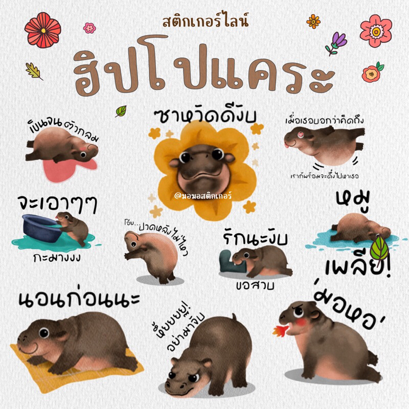 🦛 สติกเกอร์ไลน์ ฮิปโป ฮิปโปแคระ หมูตุ๋น ขาหมู หมูเด้ง คุณแฟลช แอนด์เดอะแก๊ง พร้อมส่ง ใช้ได้ถาวร