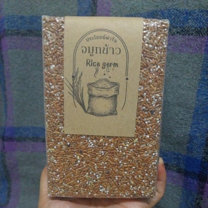 จมูกข้าว Rice germ 500กรัม  ปลอดสาร