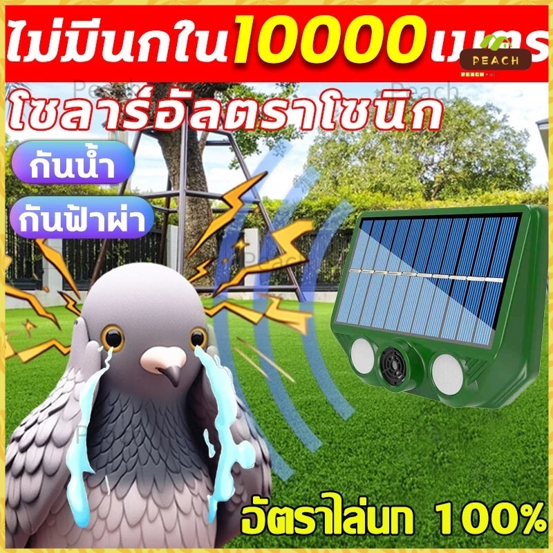 10000เมตรไม่มีนก ก้อนไล่นกพิราบ ไม่เป็นอันตรายต่อหญิงตั้งครรภ์และเด็ก 360 ° อัลตราซาวด์ ขับไล่นก