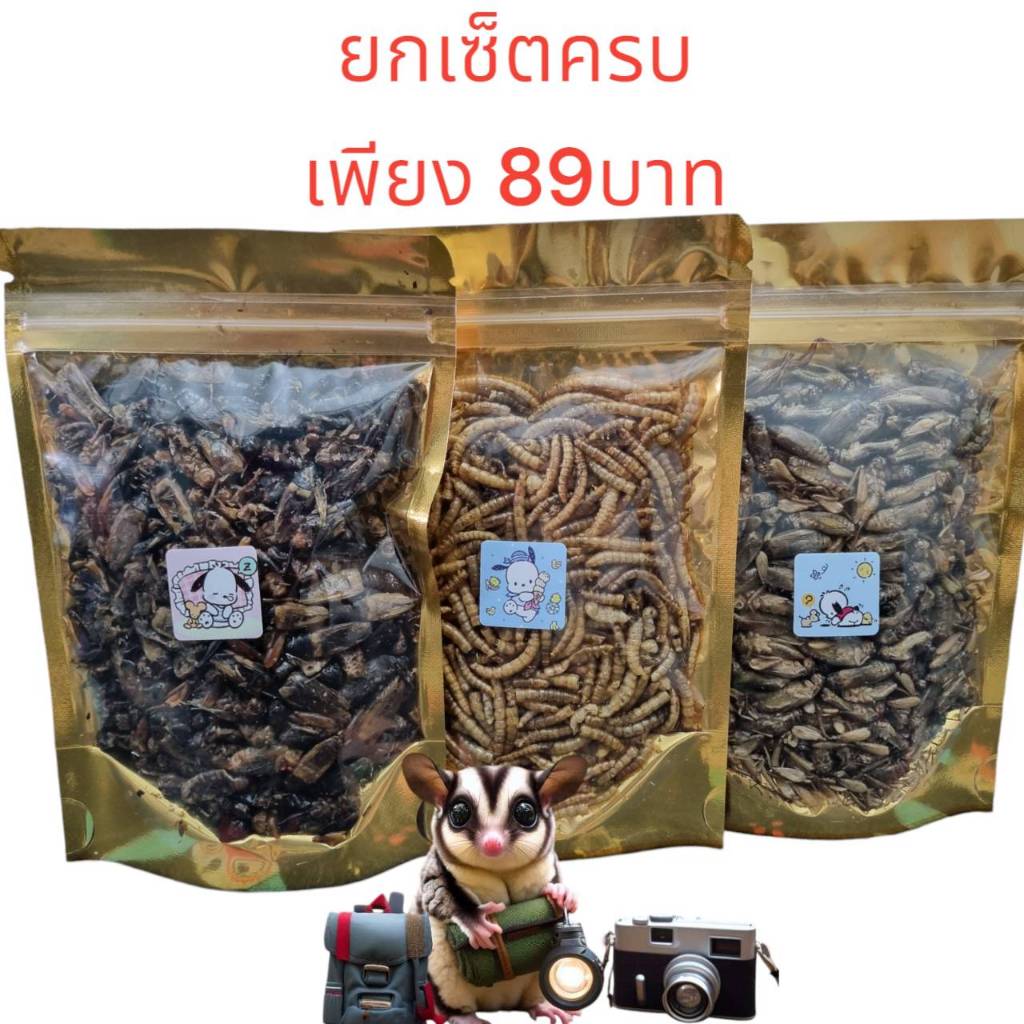 รวมแมลงอบเเห้ง 100กรัม ยกเซ็ต หนอน จิ้งหรีด สะดิ้ง 3ซอง สุดคุ้ม โปรตีนสูง ไร้น้ำมัน