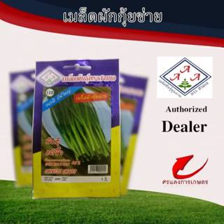 ผักซองAAAเมล็ดพันธุ์กุยช่าย