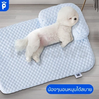 My Paws ที่นอนสัตว์เลี้ยง แบบผ้าเย็น มีหมอนหนุน สามารถถอดซักได้ ผ้าไม่ติดขน