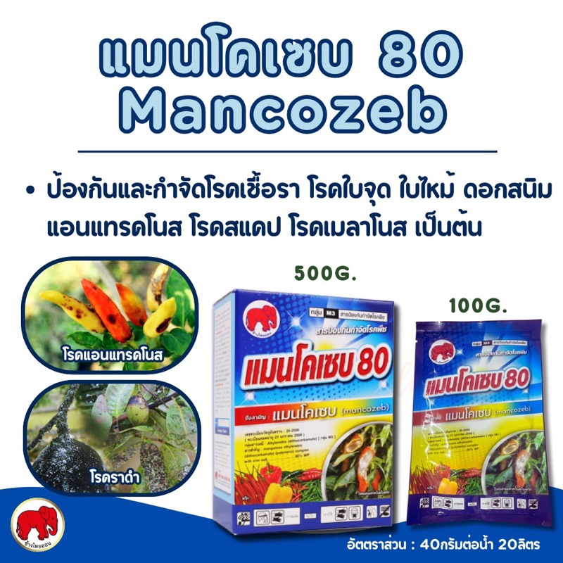 Mancozep แมนโคเซบ แมนโคเซ็บ แมนโคเซ็ป ผงเหลือง โรคแอนแทรคโนส ราน้ำค้าง โรคเน่าดำ ใบจุดสนิม ช้างแดง ช้างไทยออน