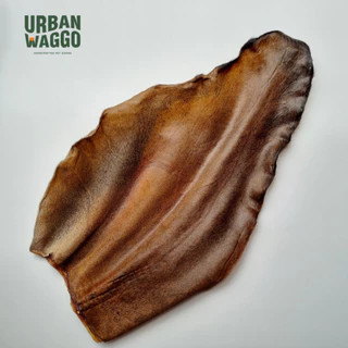 หูวัวอบแห้ง จากธรรมชาติ 100% ไม่ฟอกสี ไม่ใส่สารกันเสีย Dehydrated Cow Ear (whole) Urban waggo