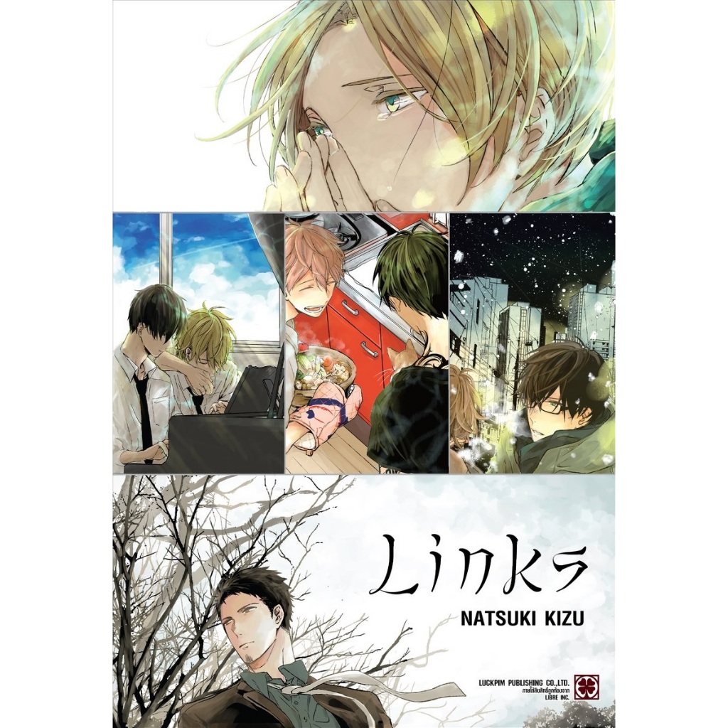 LINKS (เล่มเดียวจบ) Natsuki Kizu