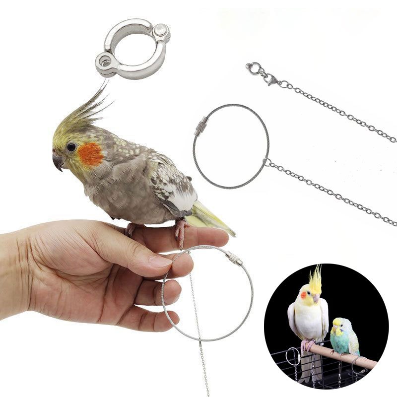 โซ่คล้องขานก ห่วงเปิดนก พร้อมห่วงล็อค สำหรับนกแก้ว ห่วงขานกแก้ว มีขนาดใด ๆ ให้เลือก