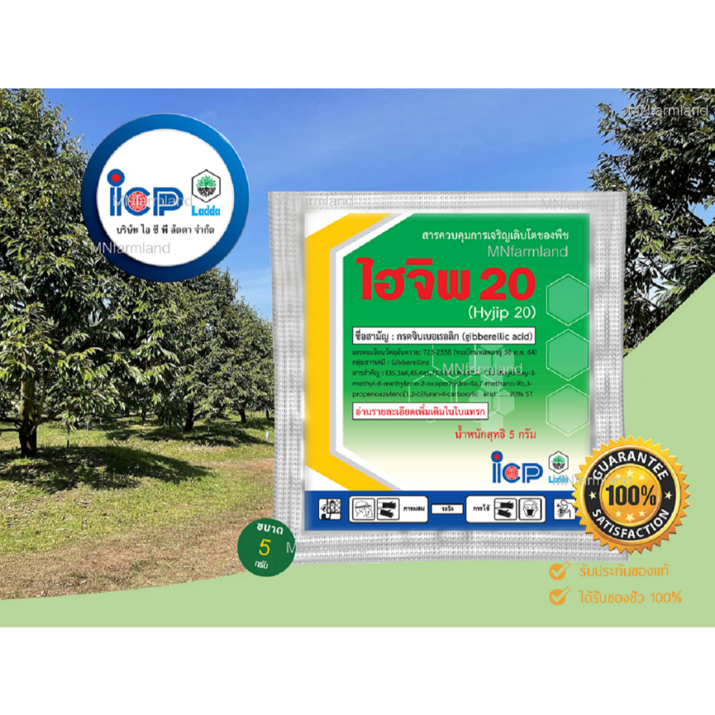 ไฮจิพ 20 5 กรัม 1 เม็ด l ICP Ladda l ใช้ควบคุมการยืดช่อดอกของไม้ผล