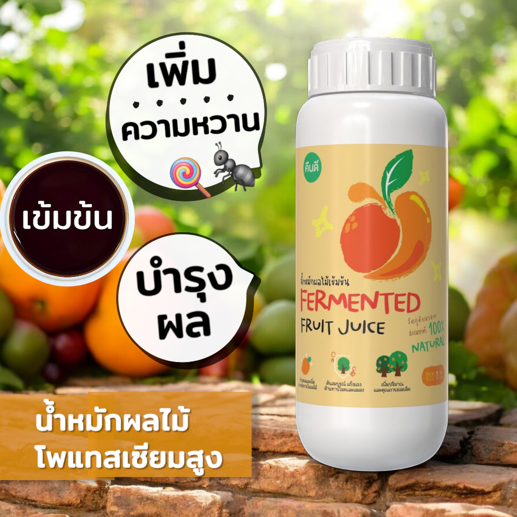 ส่งฟรี ‼️ | น้ำหมักผลไม้ โพแทสเซียมสูง สูตรเข้มข้น (FFJ) | เร่งดอก บำรุงผล เพิ่มความหวาน ต้นแข็งแรง