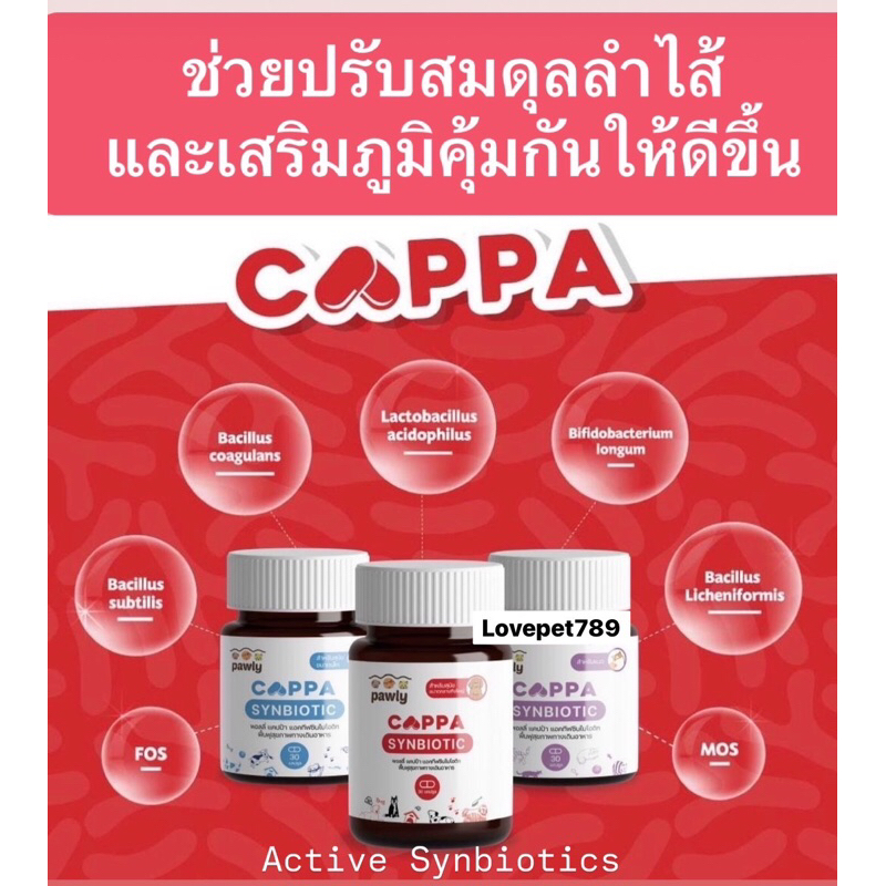 Pawly Cappa (30เม็ด/กระปุก) ปรับสมดุลลำไส้ ลดถ่ายเหลว ด้วยแอคทีฟซินไบโอติก เสริมภูมิหมา-แมว ชนิดแคปซูล