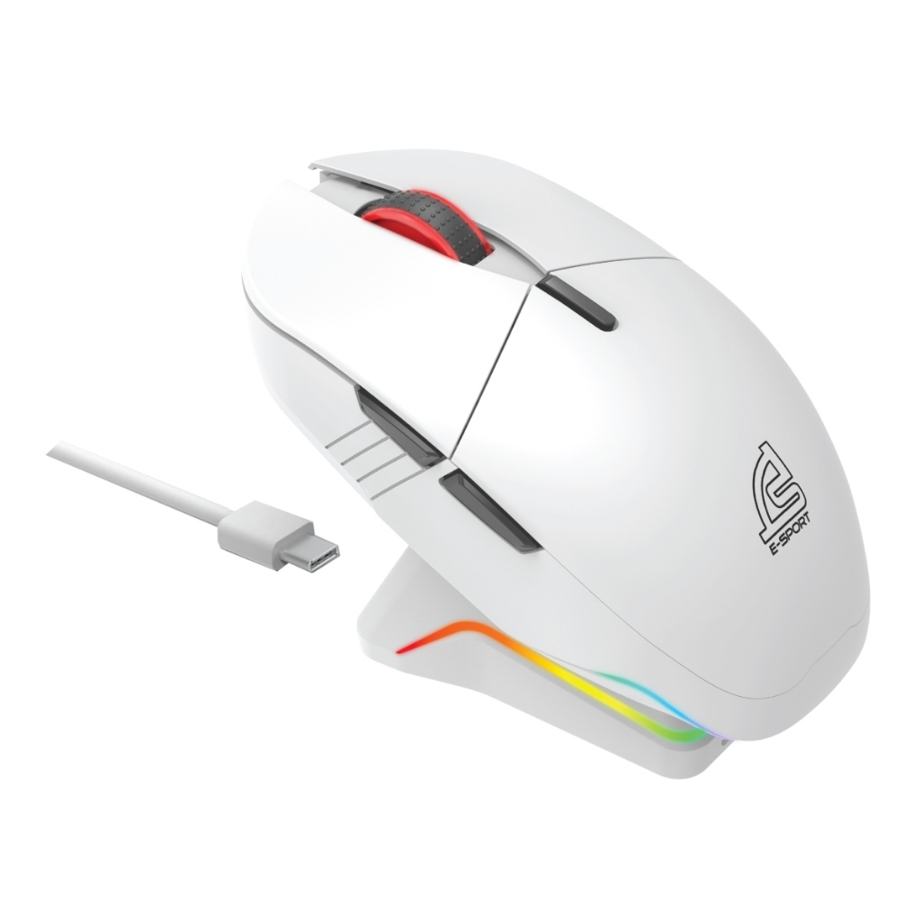 WIRELESS MOUSE (เมาส์ไร้สาย) SIGNO WG-904W XANDER