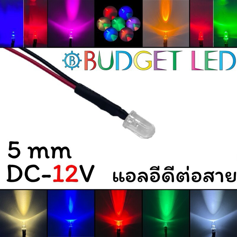 LED 5mm ต่อสาย 12VDC ไฟตกแต่งอเนกประสงค์ 12V LED Wired Light 5MM 12V มีให้เลือกหลายสี (50/100ชิ้น)