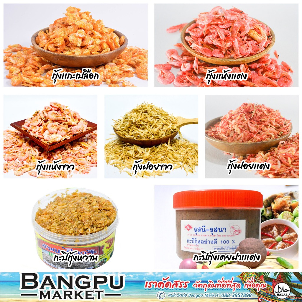 รวมมิตร กุ้งแปรรูป ของฝากภาคใต้ จากปัตตานี | กุ้งแห้งแท้ คัดเกรด A กุ้งแกะเปลือก กุ้งฝอย กุ้งเคย กุ้งแห้งตัวใหญ่ กะปิ