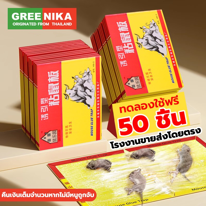 GREENIKA ปลีก/ส่ง 30ชิ้น กาวดักหนู เหนียวพิเศษ ติดทน จะไม่ปล่อยให้หนูหนีไป