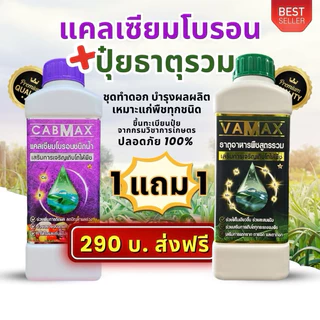 โปร 1 แถม 1 (ปุ๋ยธาตุรวม VAMAX + CABMAX แคลเซียมโบรอน) ปลอดภัยขึ้นทะเบียนอย่างถูกต้อง (V1+C1)