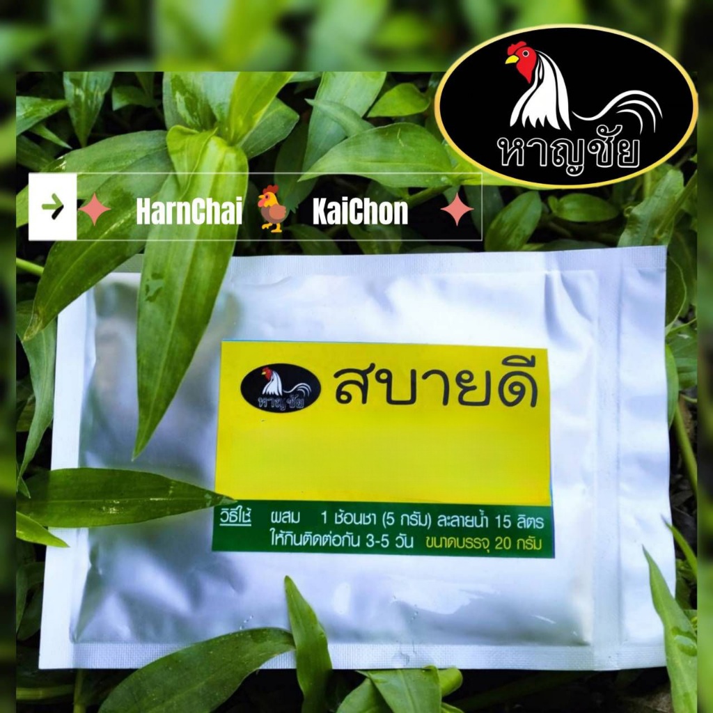 หาญชัย สบายดี อาหารดูแลไก่ เสริมภูมิคุ้มกันระบบทางเดินหายใจ ทางเดินอาหาร