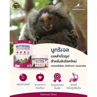อาหารลิง NutriGel เจลลิง/อาหารแท่ง แคลเซียมลิง เหมาะกับมาโมเสท ทามารีน คาปูชิน ลิงกระรอก บุชเบบี้ นำเข้าจากออสเตรเลีย