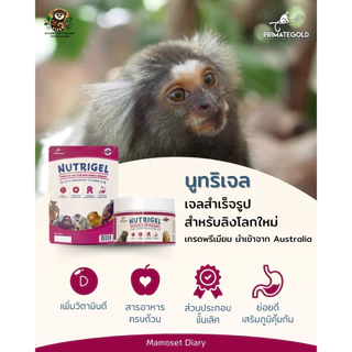 อาหารลิง NutriGel เจลลิง/อาหารแท่ง แคลเซียมลิง เหมาะกับมาโมเสท ทามารีน คาปูชิน ลิงกระรอก บุชเบบี้ นำเข้าจากออสเตรเลีย