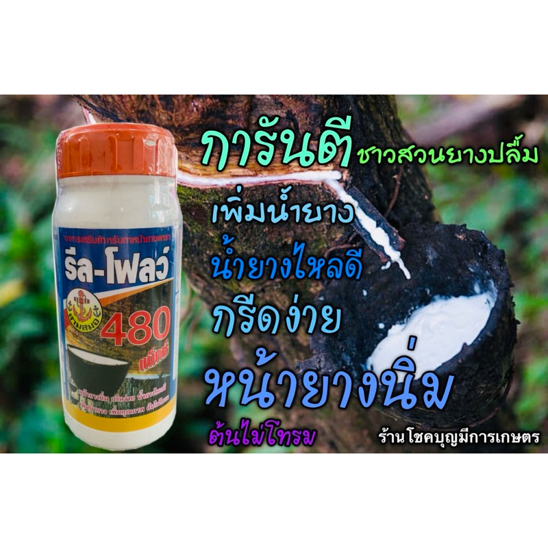 รีโฟลว์480ยาทาหน้ายางพารา500 cc