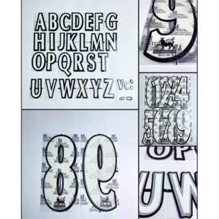 Name Number EPL 1996-2006 Flock ชื่อ เบอร์ อักษร กำมะหยี่ ฟร…