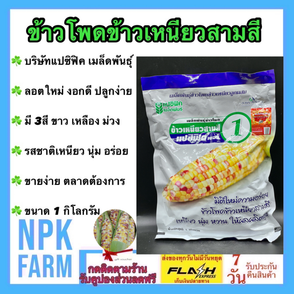 แปซิฟิค ข้าวโพดสามสี 1 กิโลกรัม หมดอายุ 15/11/2569 ข้าวโพด สามสี ขาว เหลือง ม่วง แปซิฟิค ข้าวโพดหวาน