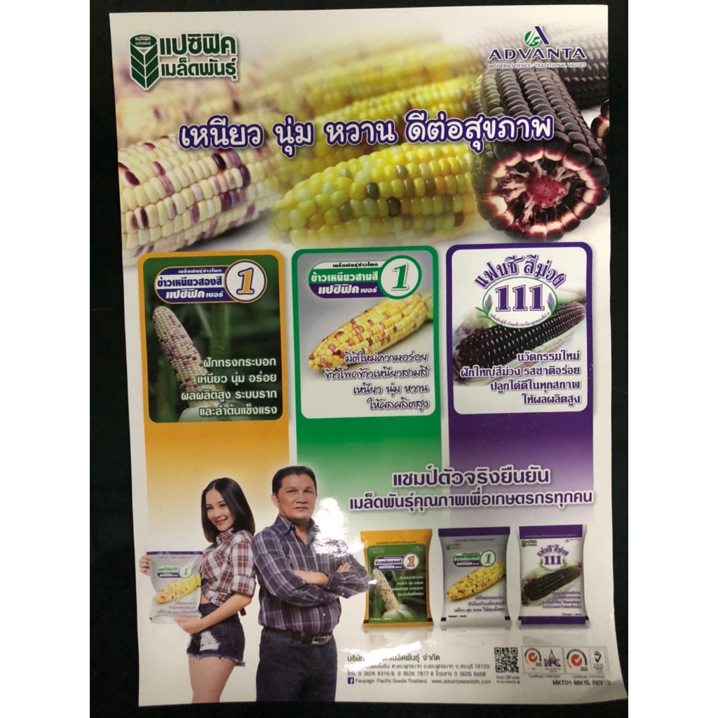 แปซิฟิค ข้าวโพดสามสี 1 กิโลกรัม หมดอายุ 15/11/2569 ข้าวโพด สามสี ขาว เหลือง ม่วง แปซิฟิค ข้าวโพดหวาน - รูปที่ 3